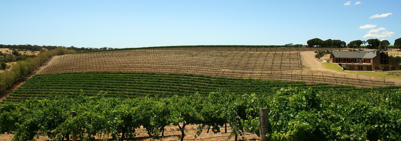 Sunny view of a farm on the Barossa Valley hills